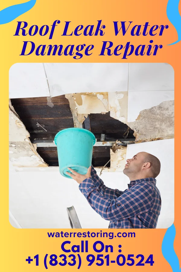 Roof Leak Water Damage Repair in Marquette, WI